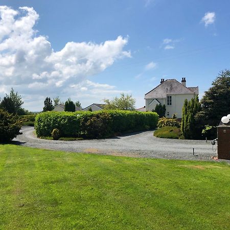 The Annexe - Spacious 2 Bedroom Detached Cottage 卡迪根 外观 照片