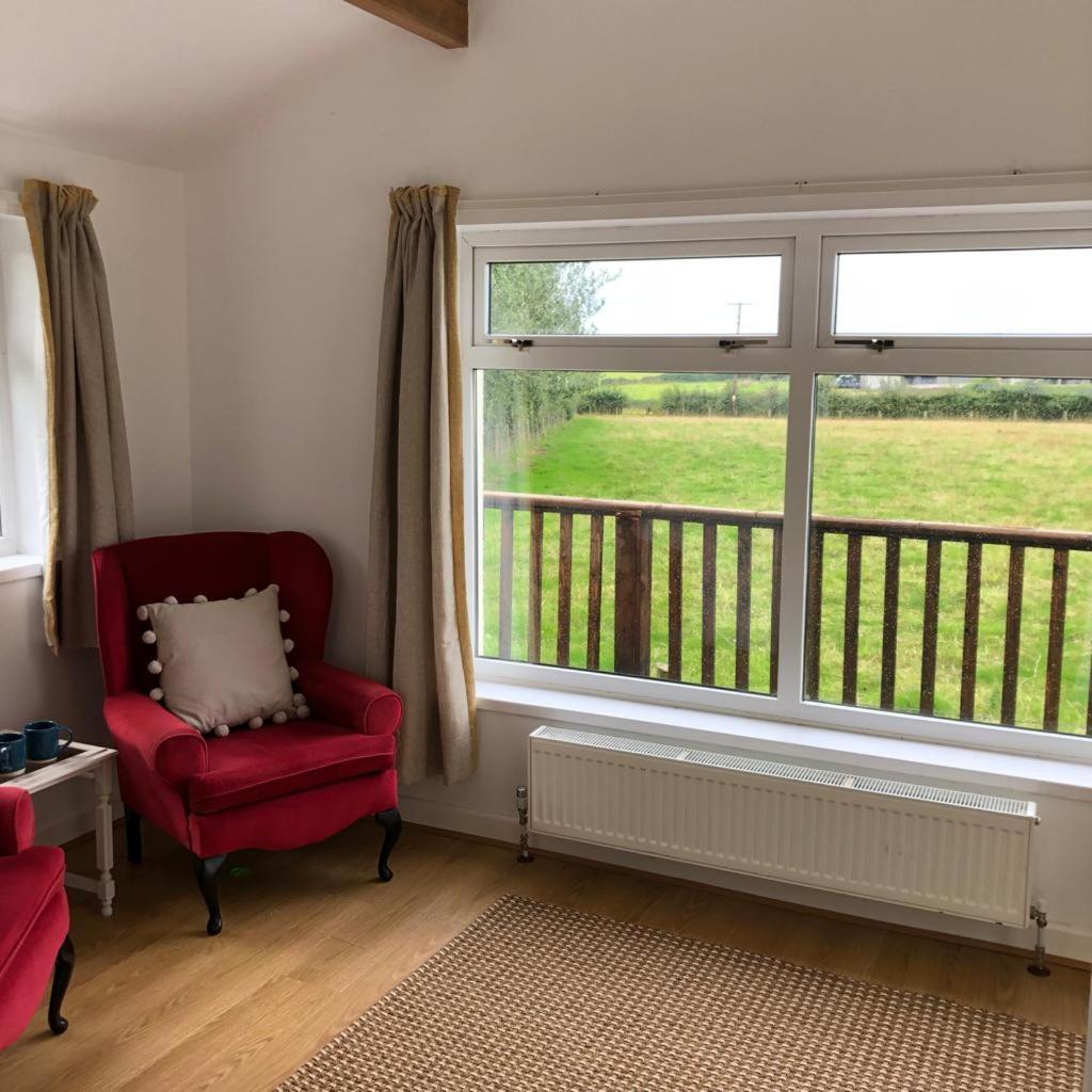 The Annexe - Spacious 2 Bedroom Detached Cottage 卡迪根 外观 照片