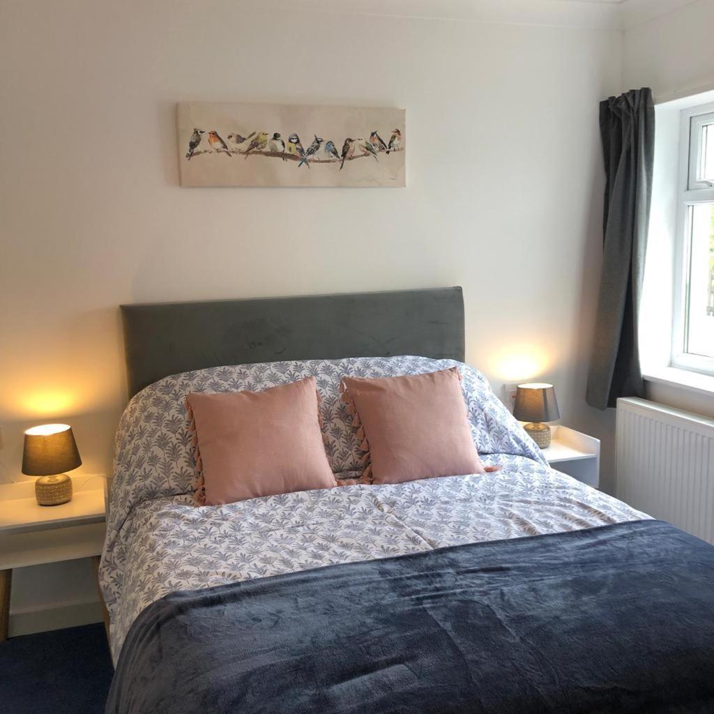 The Annexe - Spacious 2 Bedroom Detached Cottage 卡迪根 外观 照片