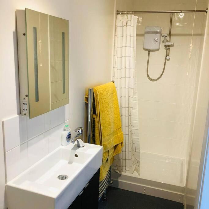 The Annexe - Spacious 2 Bedroom Detached Cottage 卡迪根 外观 照片